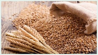 Wheat prices stable in the market